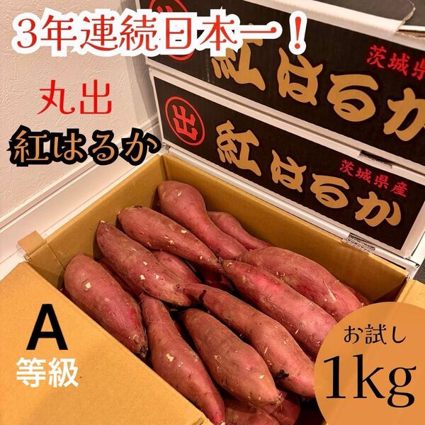 間も無く今季分終了 日本一のさつまいも 茨城県産 紅はるか 丸出 AMサイズ 1kg ねっとり系 甘い さつまいも