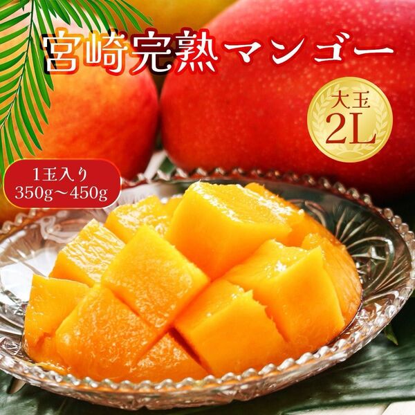 送料無料 宮崎完熟マンゴー 2L 1個 果物 高級フルーツ 父の日にも