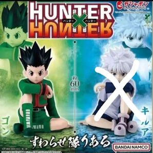 ハンターハンター HUNTER×HUNTER すわらせ隊 りある ゴン