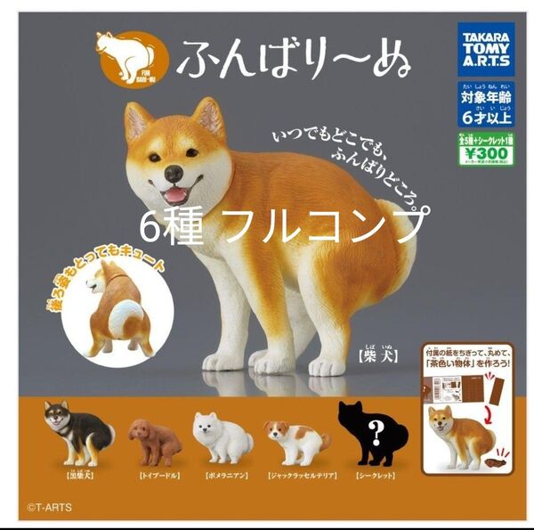 ふんばりーぬ シークレット入り 全6種 コンプ