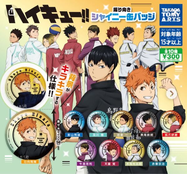 ハイキュー!!振り向きシャイニー缶バッチ 及川徹