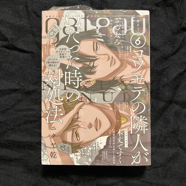 gateau (ガトー) 2025年6月号 【表紙】 コワモテの隣人がΩだった時の対処法/講談社一迅社 (雑誌) 新品 未開封