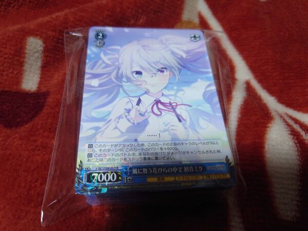 プロセカ 風に舞う花びらの中で 初音ミク×50 ヴァイスシュヴァルツ