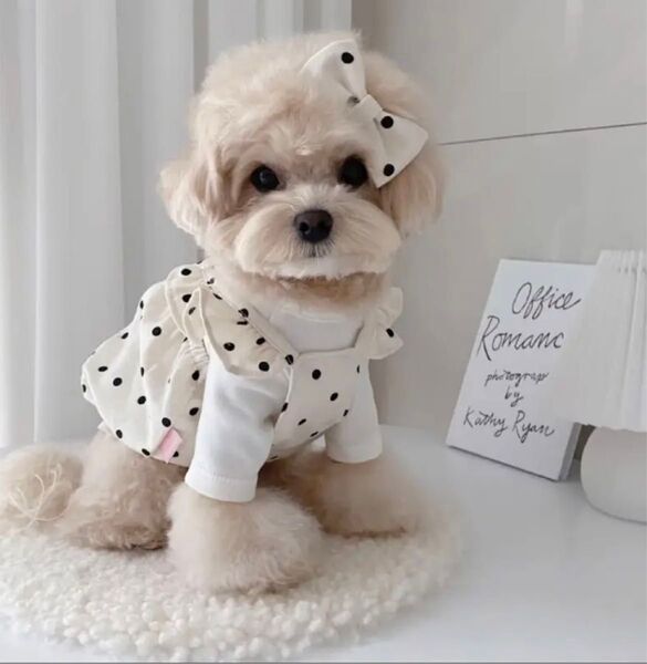 【新品】ペット服 プリンセススドレス 春夏 小型犬 バルーンワンピース 可愛い 通気性◎ 洋服 かぼちゃ 水玉 コットン フリル