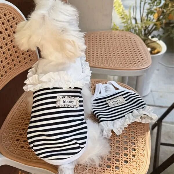 【新品】ペット服 夏用ストライプペットシャツ 男の子女の子 軽量で通気性◎ 小型犬 ブラック&ホワイト 可愛いフリル襟