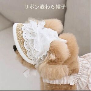 【新品】ペット麦わら帽子 リボンレース 可愛い帽子 ホワイトレース お散歩 お出掛け ペットサンバイザー お洒落アイテム♪