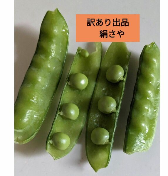 赤花絹さや(訳あり)と 鞘付きグリンピース 約250g ずつ 合わせて約500グラム