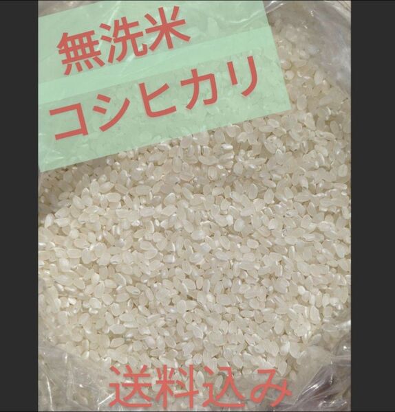 無洗米 箱込み1.9キロ コシヒカリ 農家直送