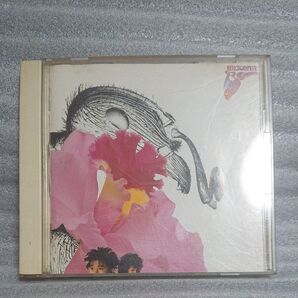 ユニコーン ブーム CD UNICORN BOOM 奥田民生 cd