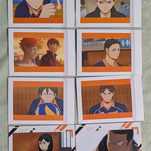 ハイキュー!! 烏野高校ぱしゃこれ&キラステコレクションセット