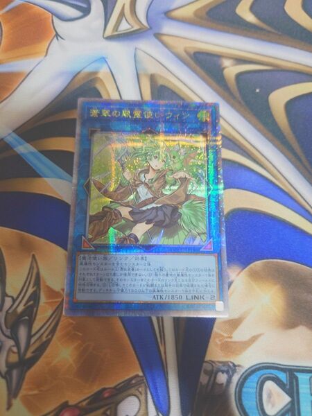 蒼翠の風使いウィン 25thシク 遊戯王