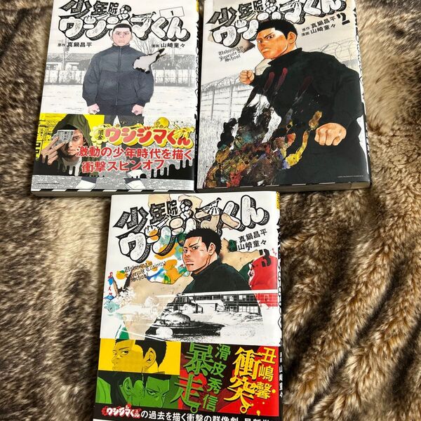 少年院ウシジマくん 1~3巻セット