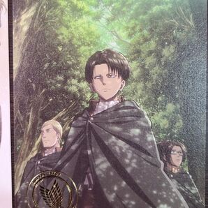 進撃の巨人 リヴァイ エルビン ハンジ ブロマイド