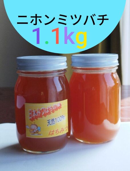 国産はちみつ、ニホンミツバチ、合計1.1kg