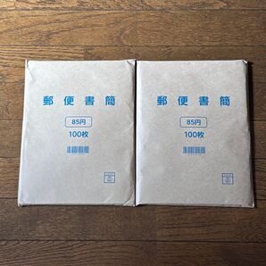 郵便書簡 ミニレター 未開封 完封100枚 2セット まとめて 17000円分