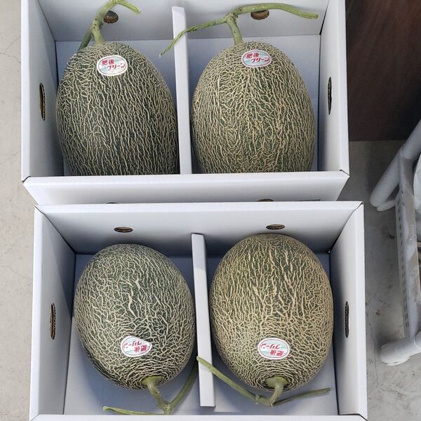 熊本産 メロン 肥後グリーン 4L 優品 2玉 2箱セット