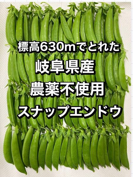 大自然あふれる標高630mでとれた 農薬不使用 スナップエンドウ 400グラム