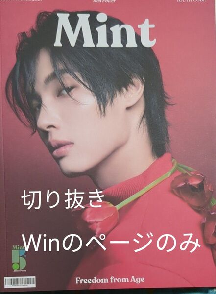 タイ 雑誌 Mint ※Winのページのみ 切り抜き