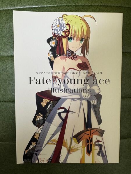 Fate/young ace Illustrations ヤングエース創刊9周年記念