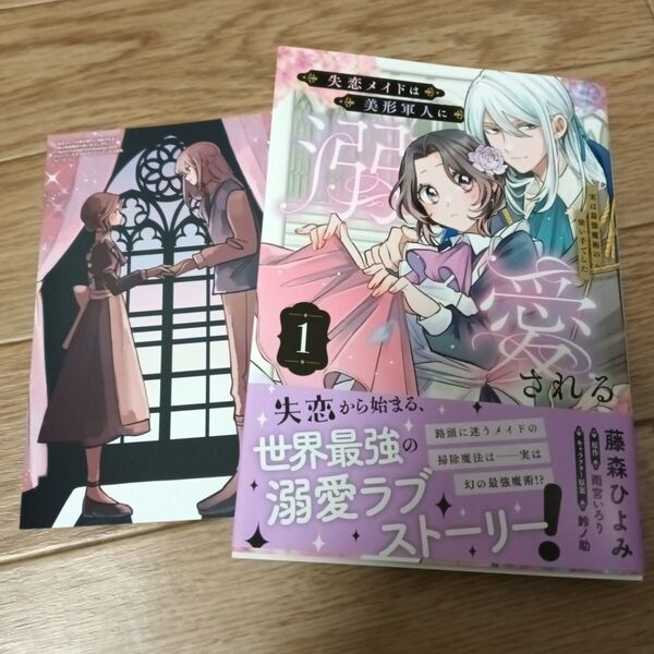 失恋メイドは美形軍人に溺愛される : 実は最強魔術の使い手でした. (1)