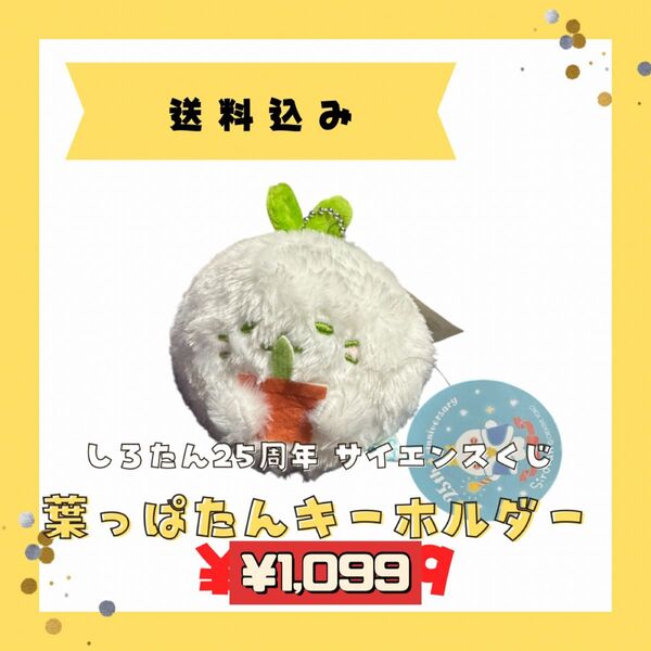 【新品】しろたんサイエンスくじ 葉っぱたんキーホルダー ぬいぐるみ 25周年 ぬいぐるみ マスコット