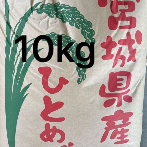 ひとめぼれ 玄米10kg 令和6年産 農家直送