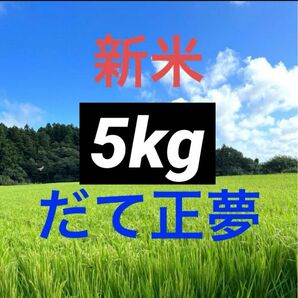 だて正夢 令和6年産 5kg玄米・精米可