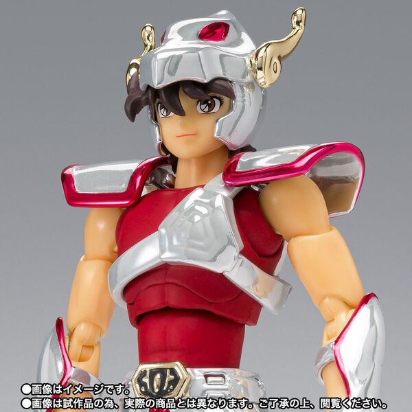 輸送箱未開封 聖闘士聖衣神話 ペガサス星矢 初期青銅聖衣 20th Anniversary Ver