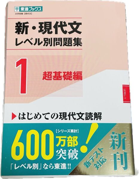 新・現代文レベル別問題集1 東進ブックス