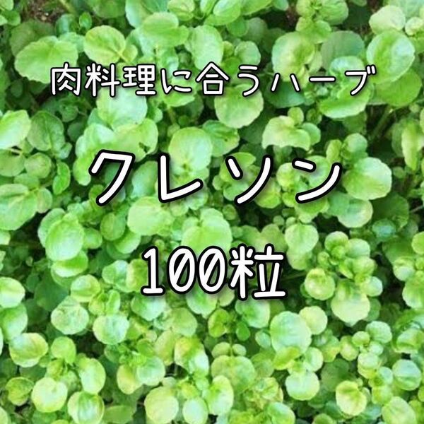 【クレソンのタネ】100粒 種子 種 ウォータークレス ハーブ 家庭菜園 ハーブ