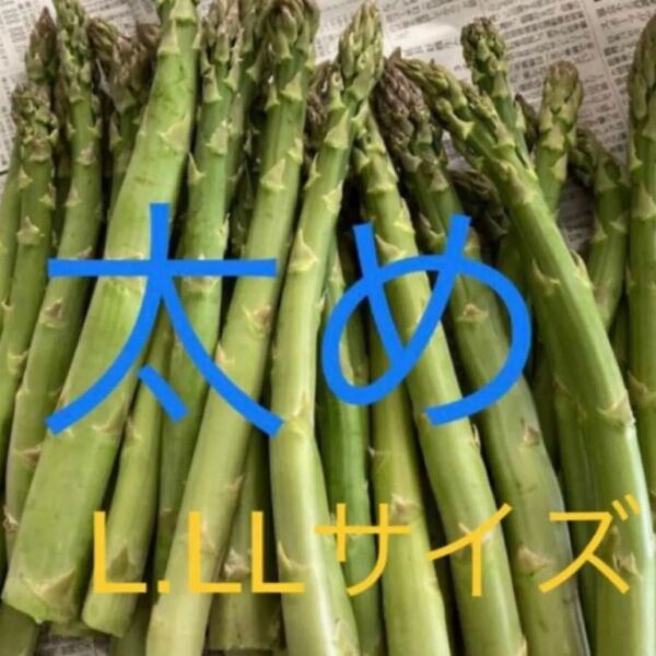 アスパラ 500g アスパラガス B品