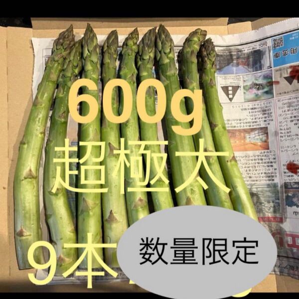 アスパラ 9本600g超極太 アスパラガス
