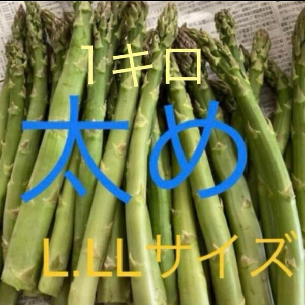 アスパラ 1キロ アスパラガス