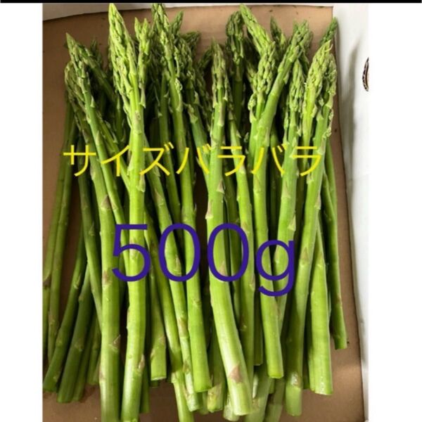 アスパラ 500g