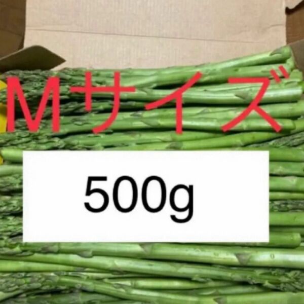 アスパラ 500g Mサイズ