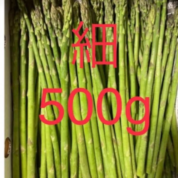 500グラム アスパラガス アスパラ