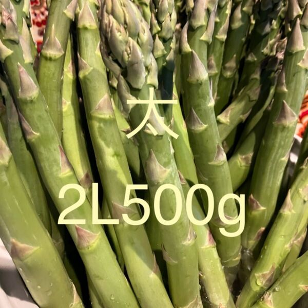 アスパラ 500g アスパラガス 2L