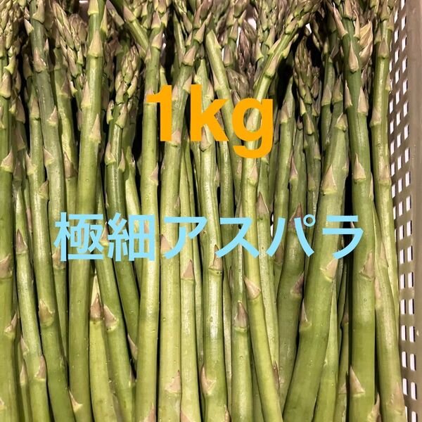 アスパラ 1キロ アスパラガス