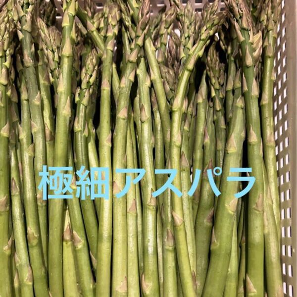 アスパラ 500g