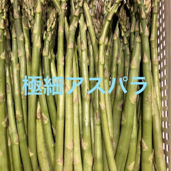 アスパラ 500g