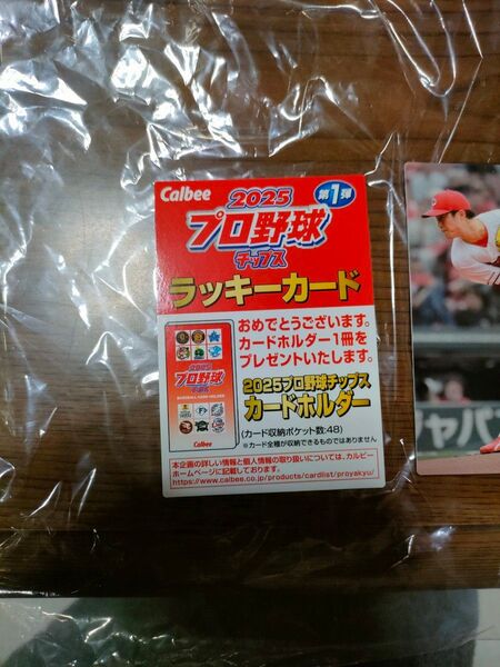 プロ野球チップス ラッキーカード2025おまけつき