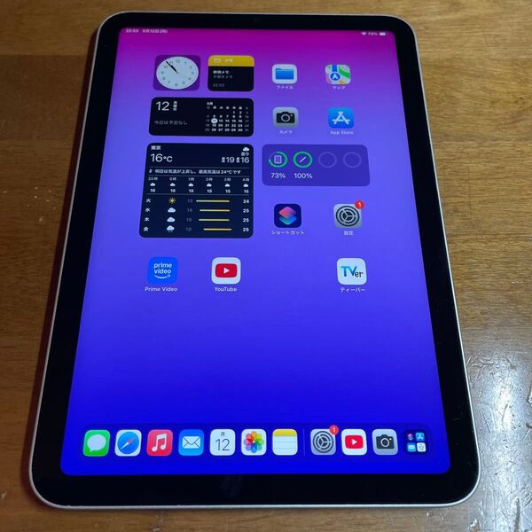 ipad mini6 wifi版 64GB スターライト バッテリー実測99%