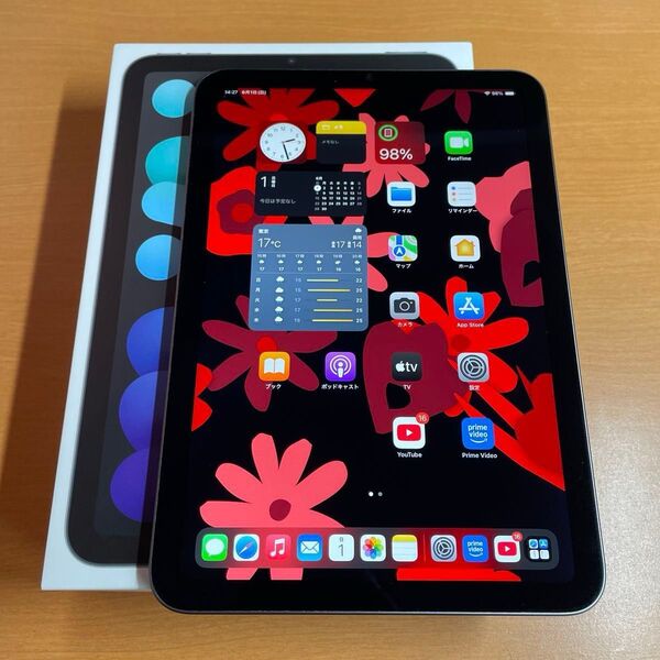 ipad mini6 wifi版 64GB グレイ バッテリー実測98%