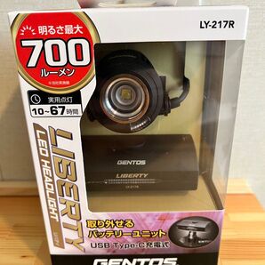 GENTOS(ジェントス) LED ヘッドライト USB充電式 LY-217R 新品未使用