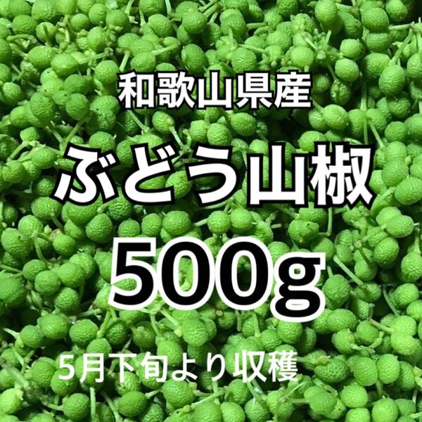 和歌山県産 ぶどう山椒 実山椒 500g農家直送