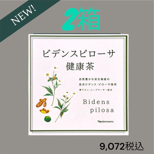新入荷!ナリス化粧品 ビデンスピローサ 健康茶 2箱