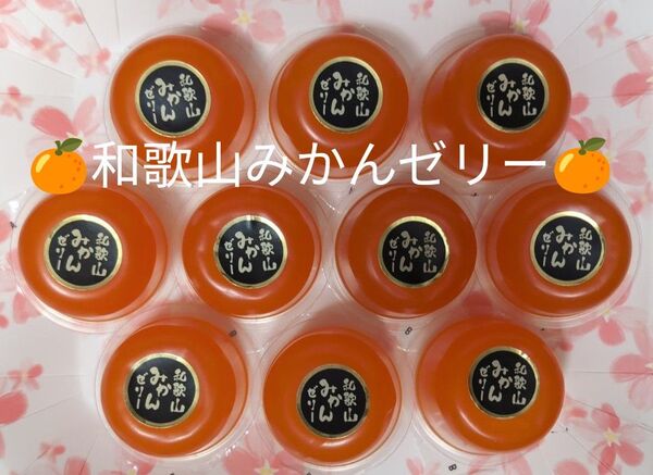 和歌山みかんゼリー 10個【ギフト解体アウトレット品】