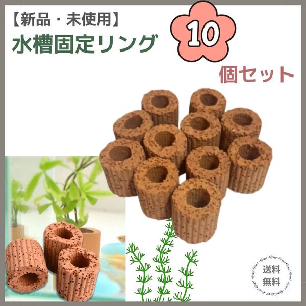 【新品】水草固定リング 10個セット 水槽用 アクアリウム内装 濾過 水質改善 隠れ家 目立ちにくい 金魚 メダカ