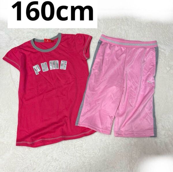 160cm 女の子 プーマ ピンク 半袖 Tシャツ 袖短めハーフパンツ まとめ売り 2枚セット