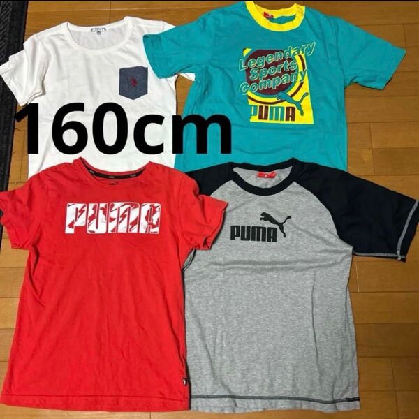 160cm 男の子 プーマ 半袖Tシャツ 夏服 まとめ売り 4枚セット